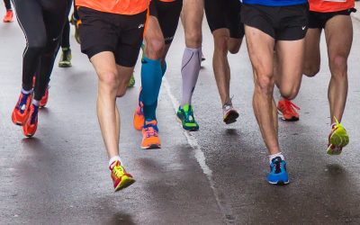 La tribuna nos alienta