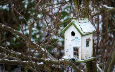 Discernimiento ministerial para estos días de pandemia