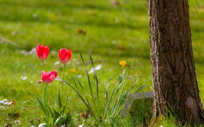 Creer es una decisión